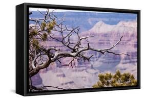 Grand Canyon National Park, Arizona-Curioso Travel Photography-Framed Stretched Canvas
