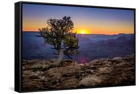 Grand Canyon National Park Arizona-pxhidalgo-Framed Stretched Canvas