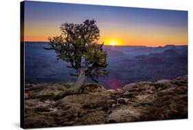 Grand Canyon National Park Arizona-pxhidalgo-Stretched Canvas