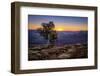 Grand Canyon National Park Arizona-pxhidalgo-Framed Premium Photographic Print