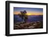 Grand Canyon National Park Arizona-pxhidalgo-Framed Premium Photographic Print