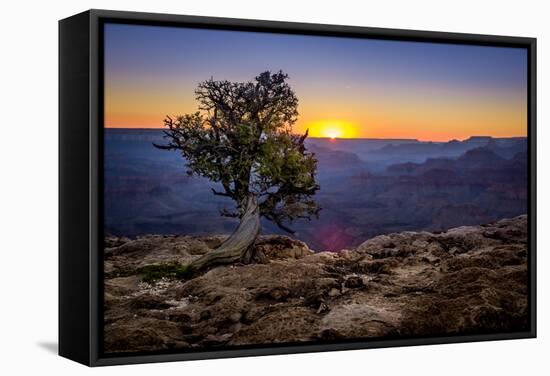 Grand Canyon National Park Arizona-pxhidalgo-Framed Stretched Canvas