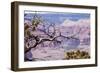 Grand Canyon National Park, Arizona-Curioso Travel Photography-Framed Photographic Print