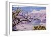 Grand Canyon National Park, Arizona-Curioso Travel Photography-Framed Photographic Print