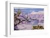 Grand Canyon National Park, Arizona-Curioso Travel Photography-Framed Photographic Print