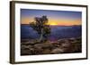 Grand Canyon National Park Arizona-pxhidalgo-Framed Photographic Print