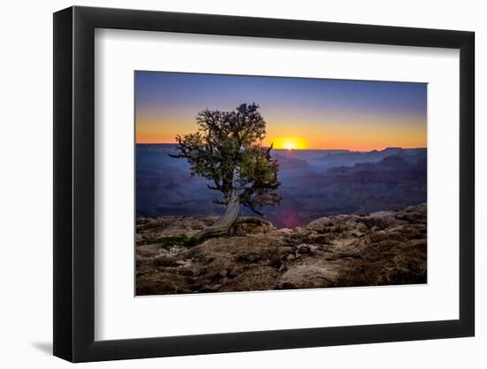 Grand Canyon National Park Arizona-pxhidalgo-Framed Photographic Print