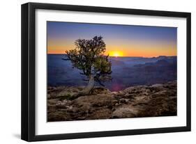 Grand Canyon National Park Arizona-pxhidalgo-Framed Photographic Print