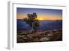 Grand Canyon National Park Arizona-pxhidalgo-Framed Photographic Print