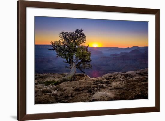 Grand Canyon National Park Arizona-pxhidalgo-Framed Photographic Print