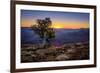 Grand Canyon National Park Arizona-pxhidalgo-Framed Photographic Print