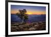 Grand Canyon National Park Arizona-pxhidalgo-Framed Photographic Print