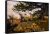 Grand Canyon National Park, Arizona-Jerry Ginsberg-Framed Stretched Canvas