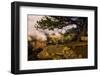 Grand Canyon National Park, Arizona-Jerry Ginsberg-Framed Photographic Print