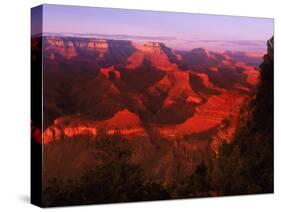 Grand Canyon National Park, AZ-Gary Conner-Stretched Canvas