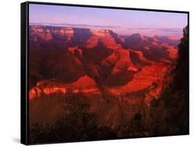 Grand Canyon National Park, AZ-Gary Conner-Framed Stretched Canvas