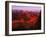 Grand Canyon National Park, AZ-Gary Conner-Framed Premium Photographic Print