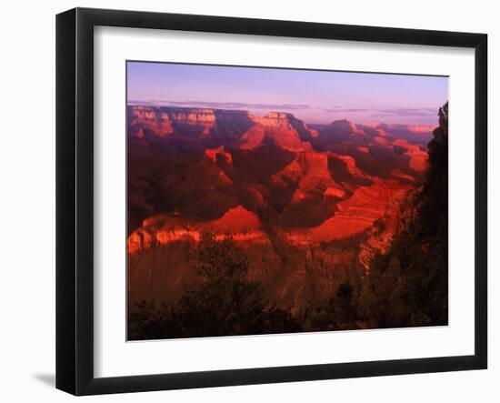 Grand Canyon National Park, AZ-Gary Conner-Framed Premium Photographic Print