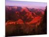 Grand Canyon National Park, AZ-Gary Conner-Mounted Photographic Print