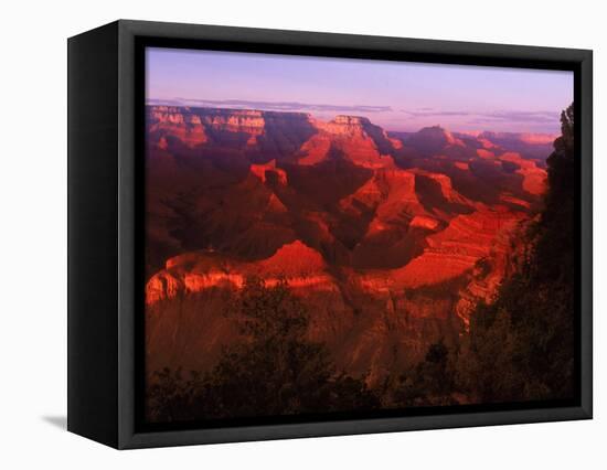 Grand Canyon National Park, AZ-Gary Conner-Framed Stretched Canvas