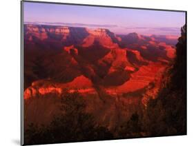 Grand Canyon National Park, AZ-Gary Conner-Mounted Photographic Print