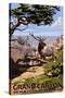 Grand Canyon National Park - Elk and South Rim-Lantern Press-Stretched Canvas