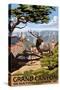 Grand Canyon National Park - Elk & Point Imperial-Lantern Press-Stretched Canvas