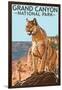 Grand Canyon National Park - Mountain Lion-Lantern Press-Framed Art Print