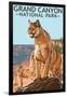 Grand Canyon National Park - Mountain Lion-Lantern Press-Framed Art Print