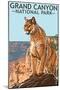 Grand Canyon National Park - Mountain Lion-Lantern Press-Mounted Art Print