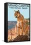 Grand Canyon National Park - Mountain Lion-Lantern Press-Framed Stretched Canvas