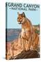 Grand Canyon National Park - Mountain Lion-Lantern Press-Stretched Canvas