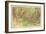 Grand Canyon National Park - Panoramic Map-Lantern Press-Framed Art Print