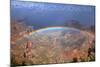 Grand Canyon National Park - Rainbow-Lantern Press-Mounted Art Print