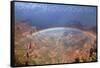 Grand Canyon National Park - Rainbow-Lantern Press-Framed Stretched Canvas