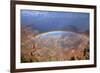 Grand Canyon National Park - Rainbow-Lantern Press-Framed Art Print