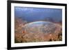 Grand Canyon National Park - Rainbow-Lantern Press-Framed Art Print