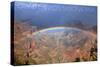 Grand Canyon National Park - Rainbow-Lantern Press-Stretched Canvas