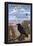 Grand Canyon National Park - Ravens and Angels Window-null-Framed Poster