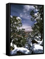 Grand Canyon National Park, Trees Covered with Snow, Arizona, USA-Adam Jones-Framed Stretched Canvas