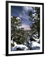 Grand Canyon National Park, Trees Covered with Snow, Arizona, USA-Adam Jones-Framed Premium Photographic Print