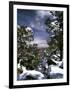 Grand Canyon National Park, Trees Covered with Snow, Arizona, USA-Adam Jones-Framed Premium Photographic Print