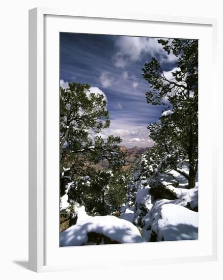 Grand Canyon National Park, Trees Covered with Snow, Arizona, USA-Adam Jones-Framed Photographic Print