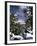 Grand Canyon National Park, Trees Covered with Snow, Arizona, USA-Adam Jones-Framed Photographic Print