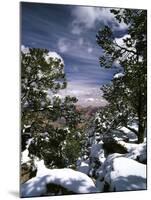 Grand Canyon National Park, Trees Covered with Snow, Arizona, USA-Adam Jones-Mounted Photographic Print