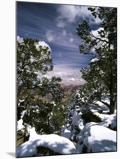 Grand Canyon National Park, Trees Covered with Snow, Arizona, USA-Adam Jones-Mounted Photographic Print