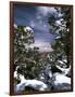 Grand Canyon National Park, Trees Covered with Snow, Arizona, USA-Adam Jones-Framed Photographic Print