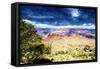Grand Canyon National Park-Philippe Hugonnard-Framed Stretched Canvas