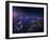 Grand Canyon Night-Juan Pablo De-Framed Photographic Print