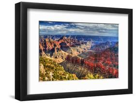 Grand Canyon North Rim Arizona-null-Framed Art Print